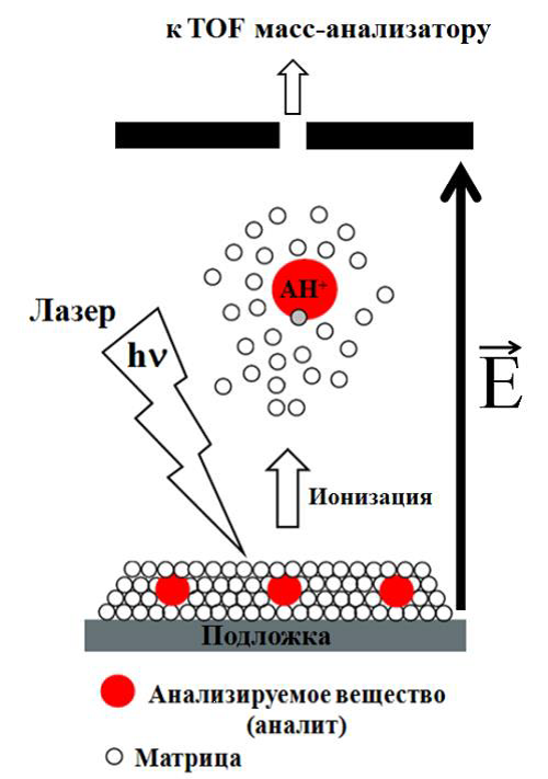 Лазерная ионизация. Матрично-активированная лазерная десорбция/ионизация. Матрично активированная лазерная ионизация. Ионизирующий лазер. Ионизация схема.